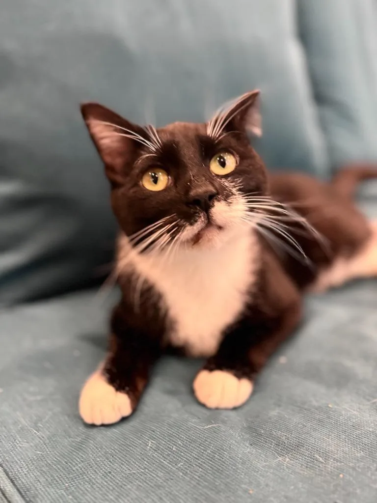 Mauricio thumbnail 4