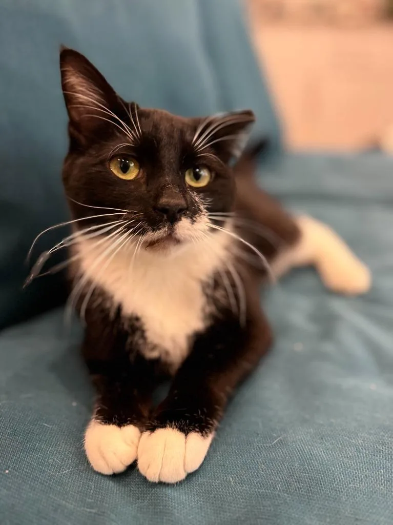 Mauricio thumbnail 5