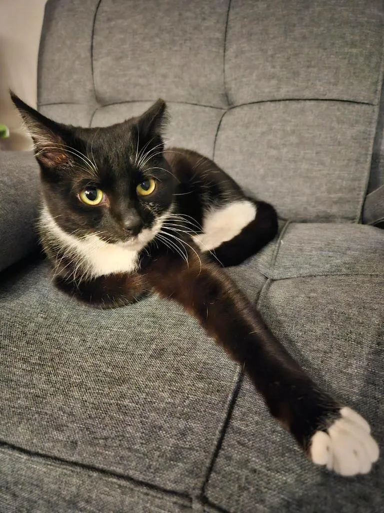 Mauricio thumbnail 6