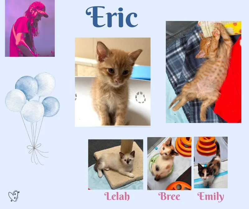 Eric thumbnail 6