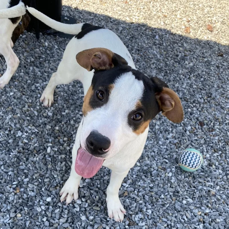 Parker thumbnail 3