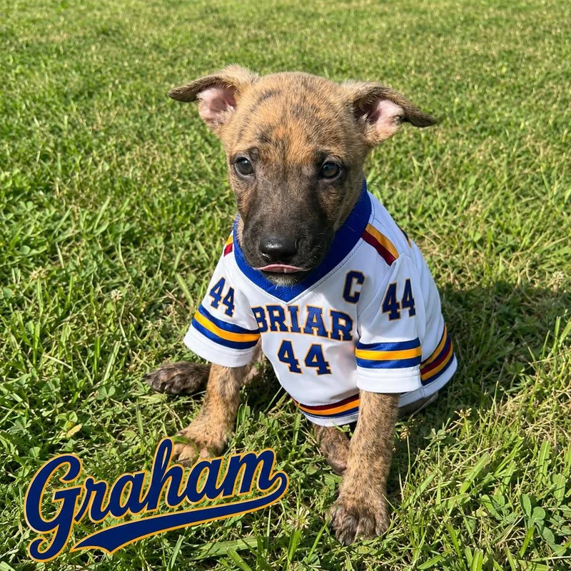 Graham thumbnail 3