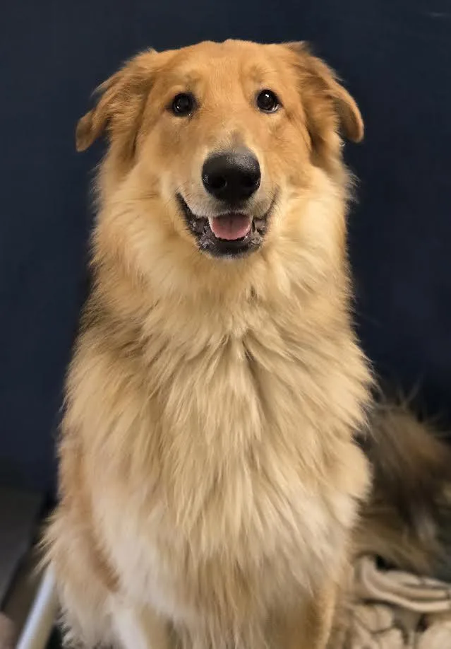 Mel
