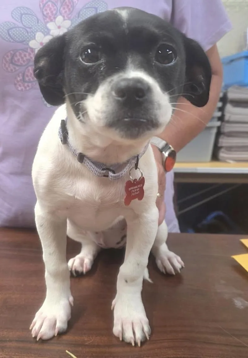Minnie