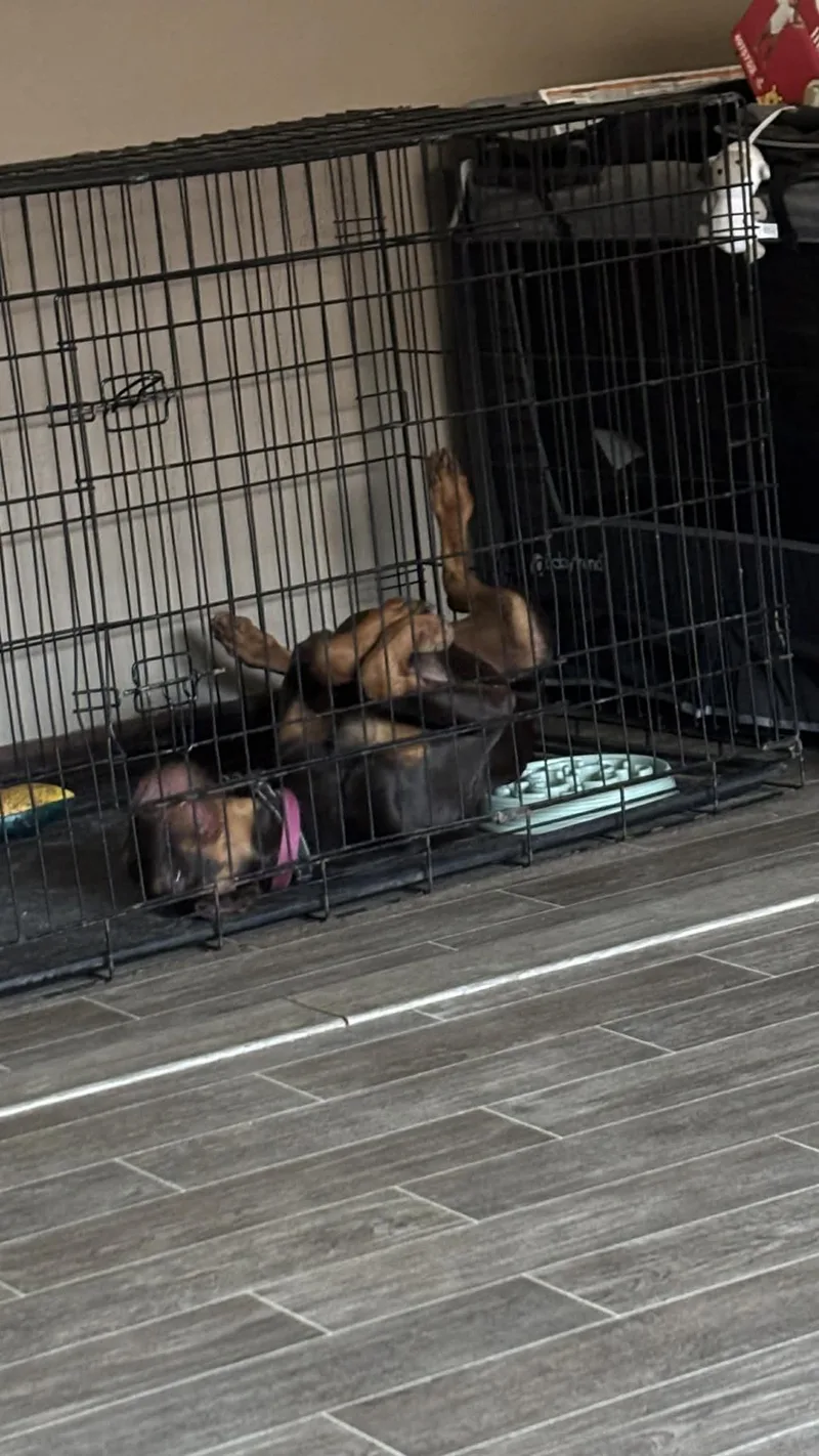 Rysk  Video!!. thumbnail 3