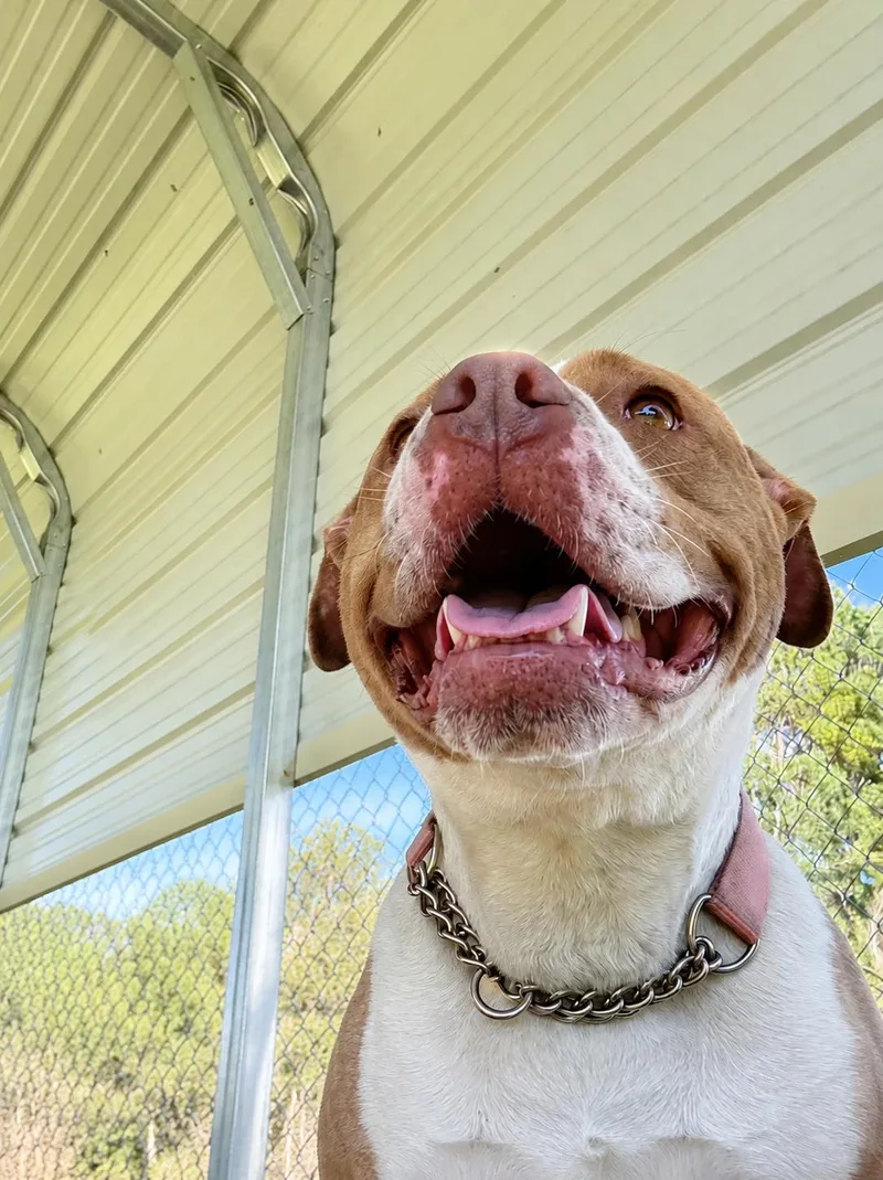 Winnie