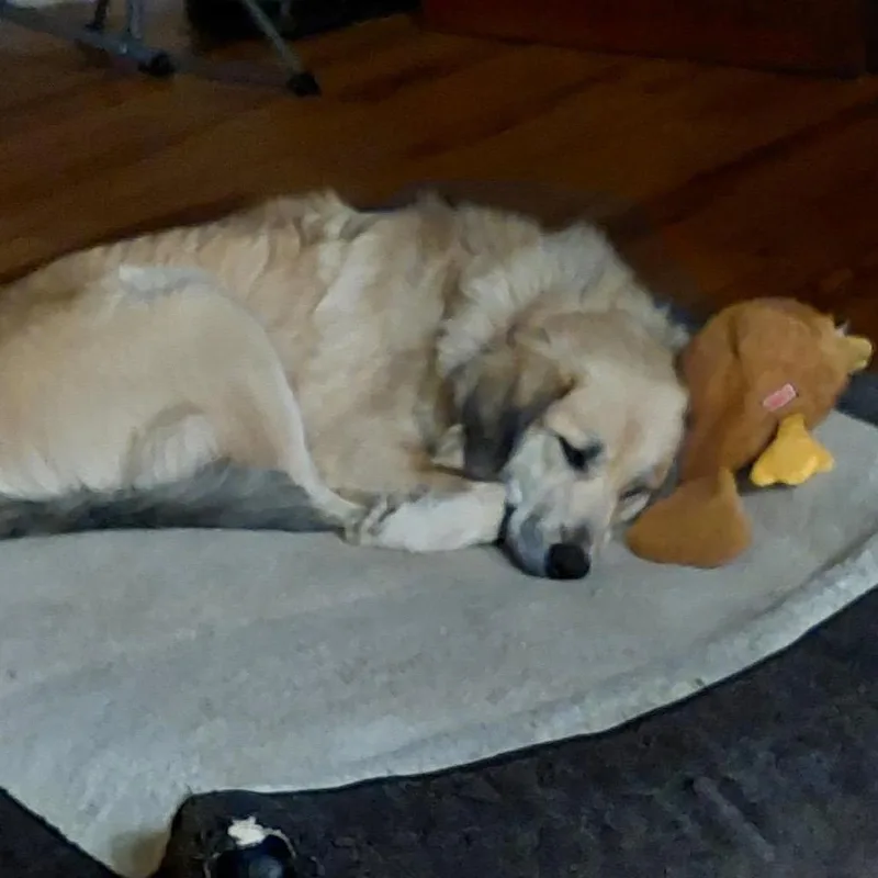 Winnie thumbnail 4