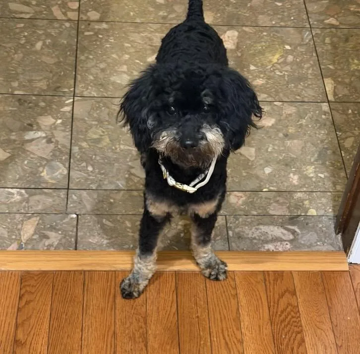 Half Pint thumbnail 4