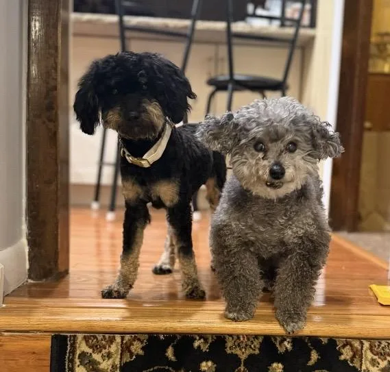 Half Pint thumbnail 5