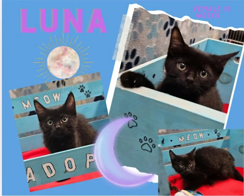 Luna
