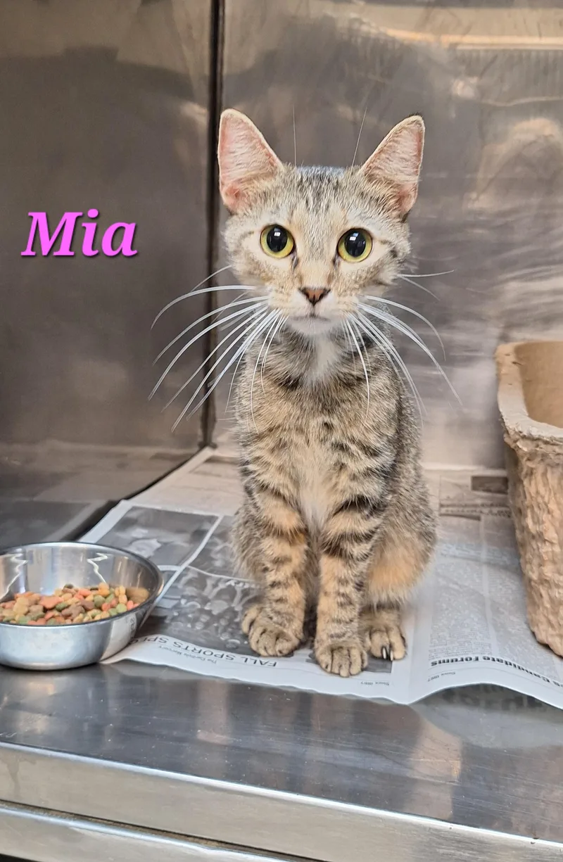 Mia thumbnail 3