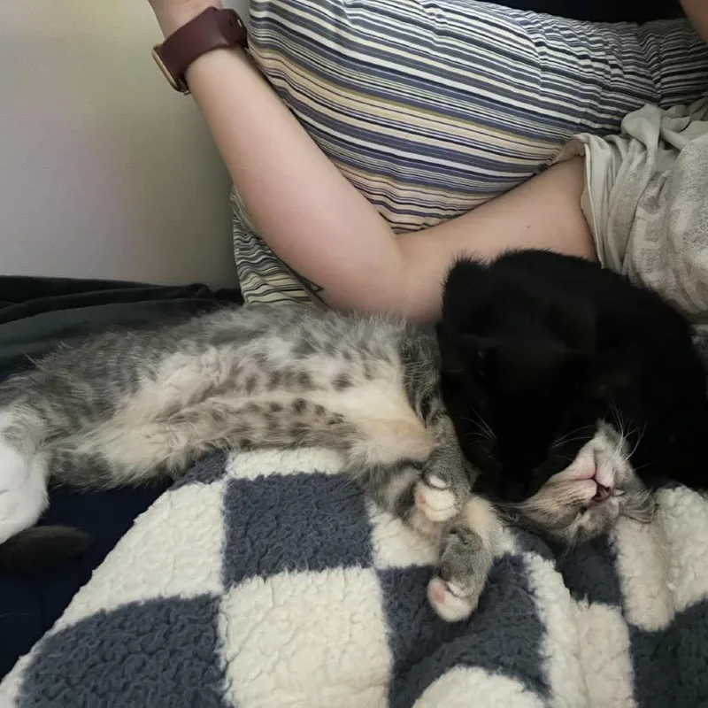 Zara Lou C thumbnail 4