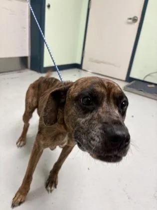 Sunny Girl thumbnail 2