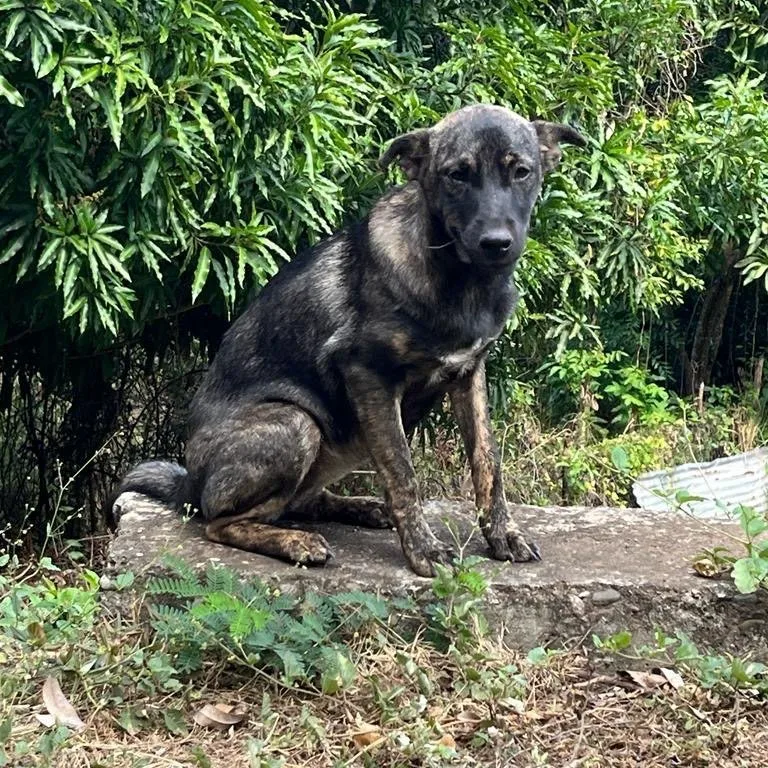 Nevaeh "make My Dream thumbnail 2