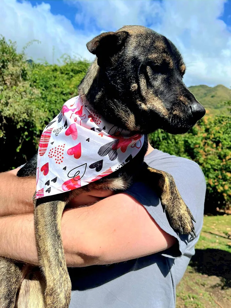 Nevaeh "make My Dream thumbnail 3