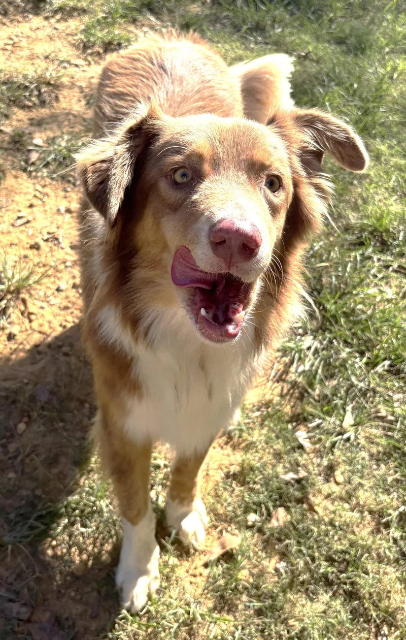Rudy thumbnail 3