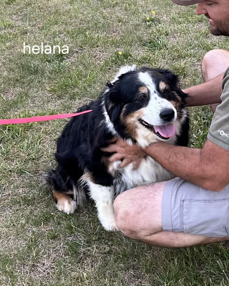 Helena thumbnail 2