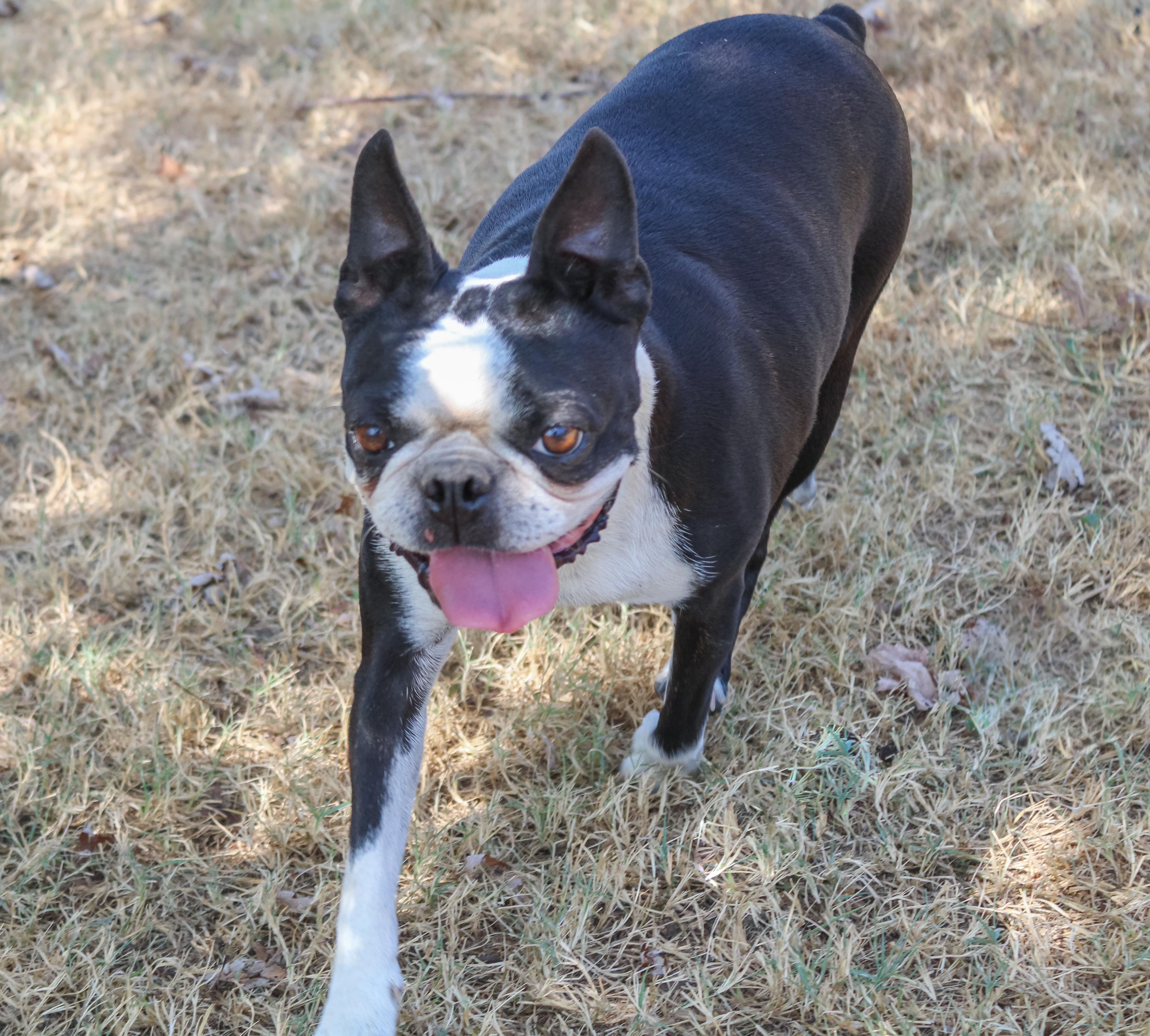 Luna Mae