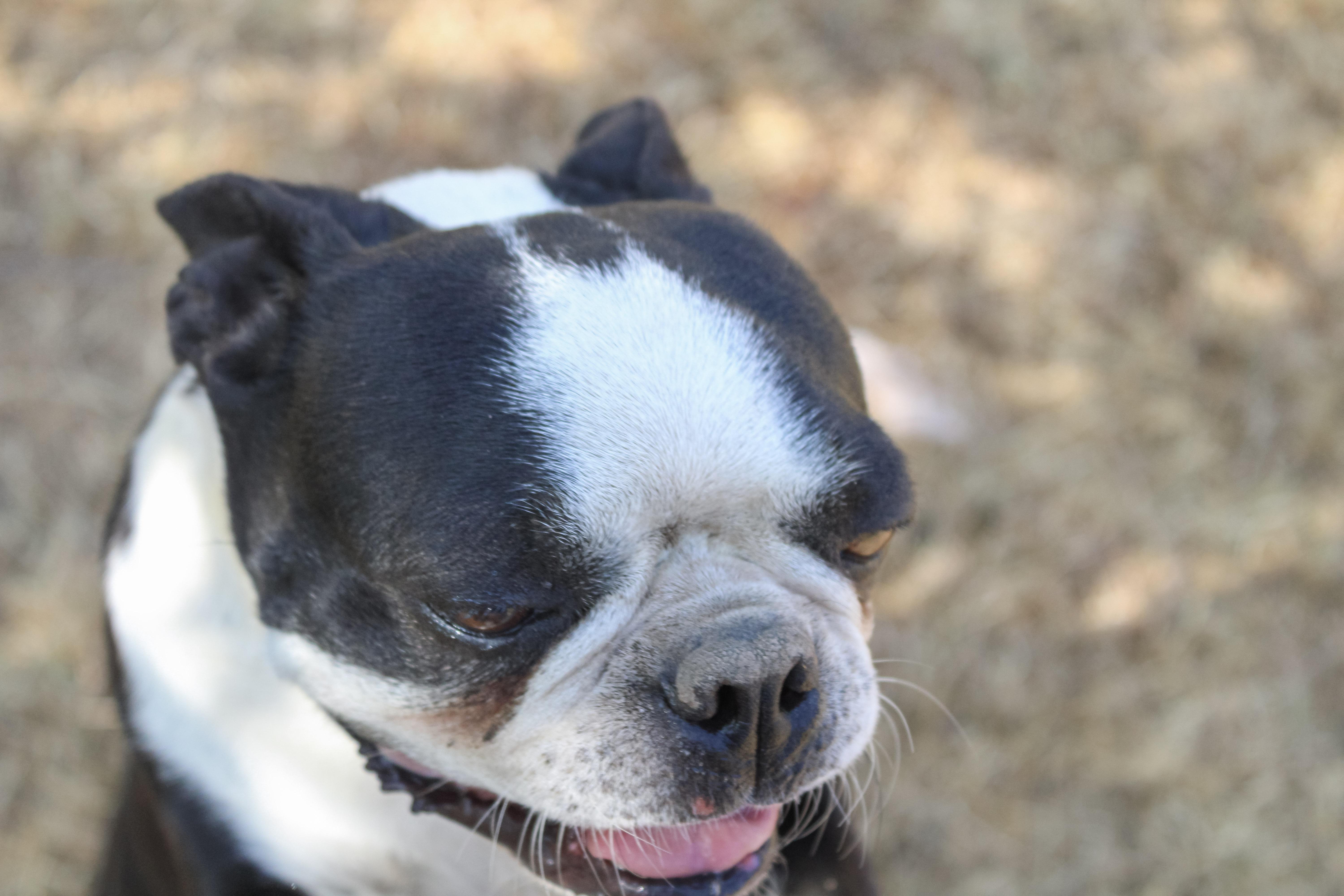 Luna Mae thumbnail 2