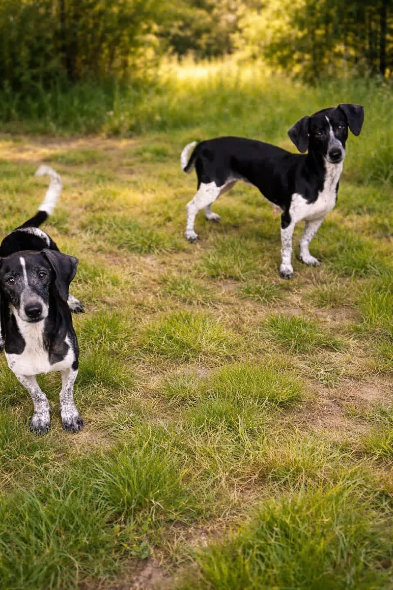Dottie And Dorothy
