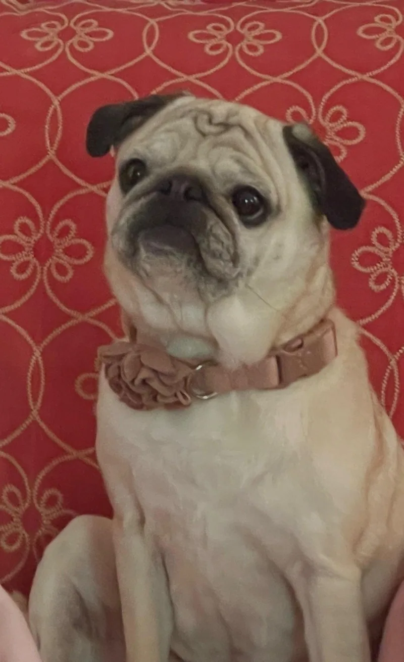 Greta