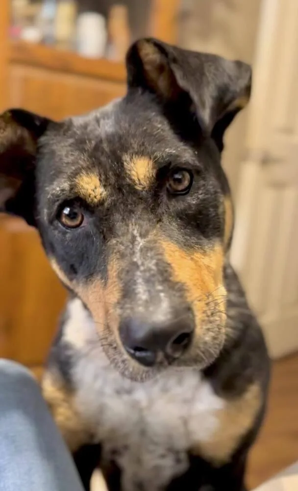 Topanga 💜 thumbnail 3