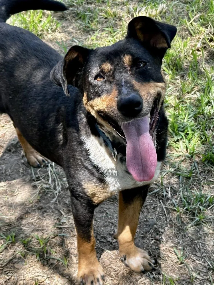 Topanga 💜 thumbnail 4