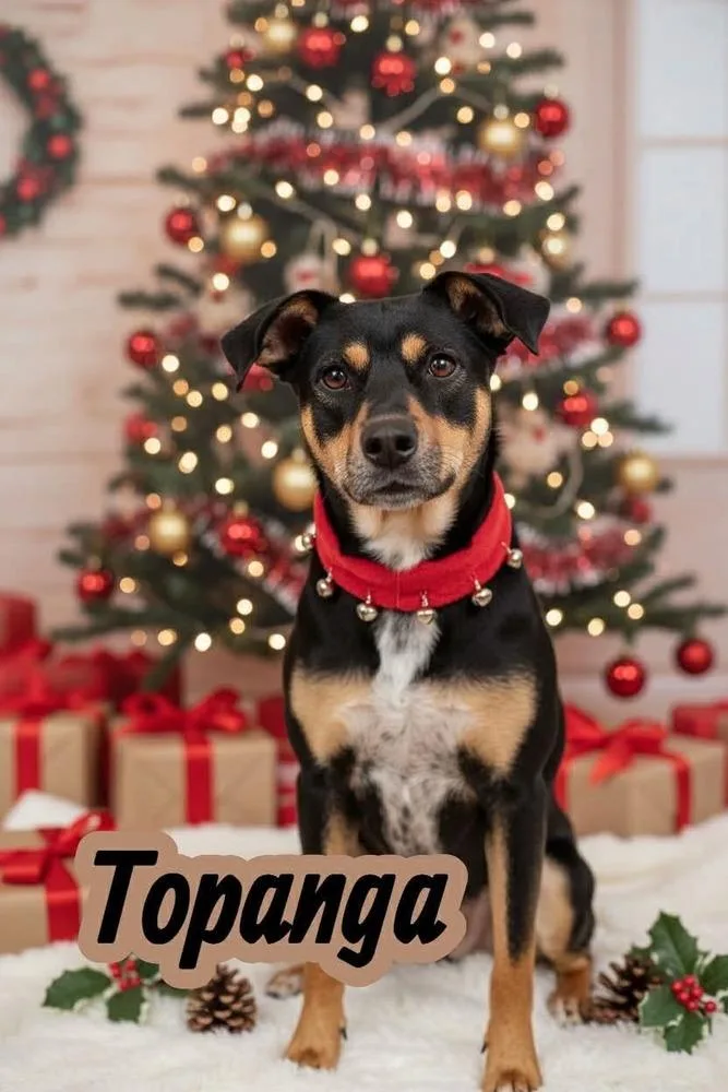 Topanga 💜 thumbnail 5