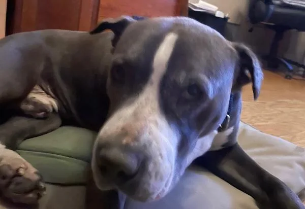 Rollercoaster thumbnail 2