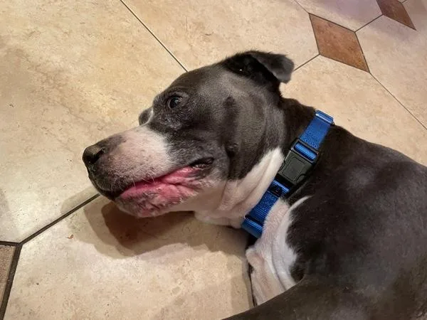 Rollercoaster thumbnail 4