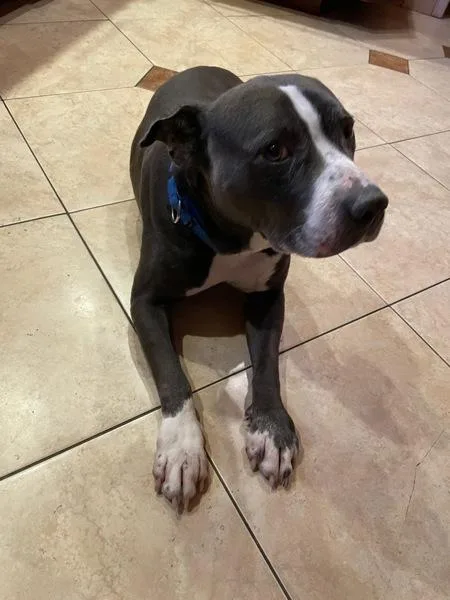 Rollercoaster thumbnail 5