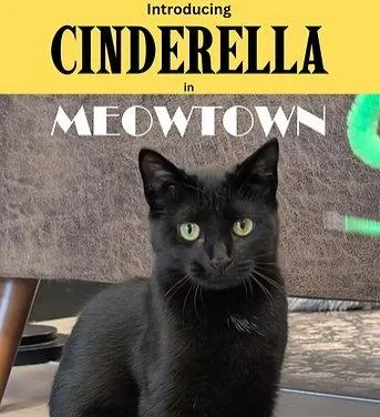 Cinderella thumbnail 2