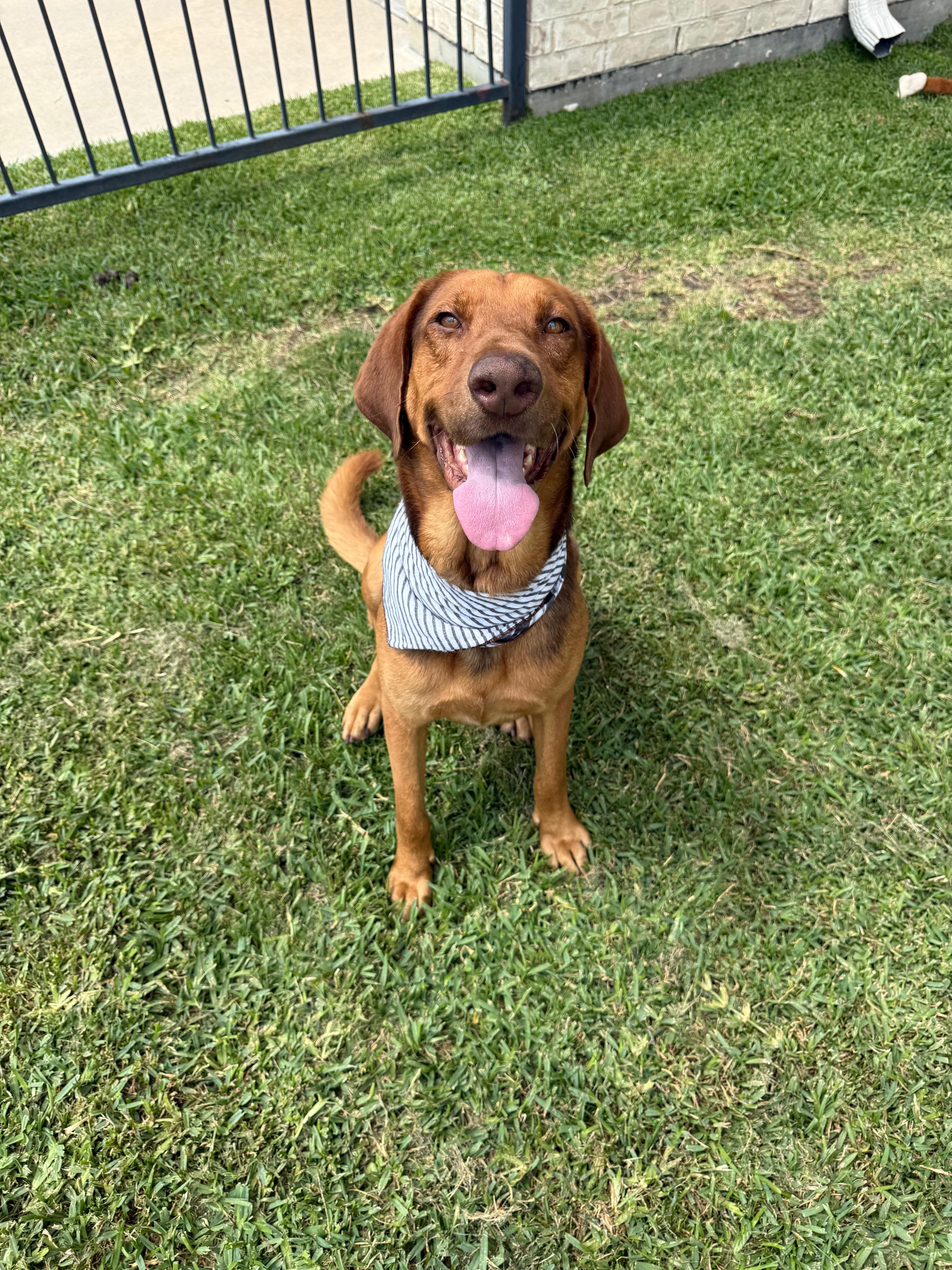 Butch Jr. thumbnail 2