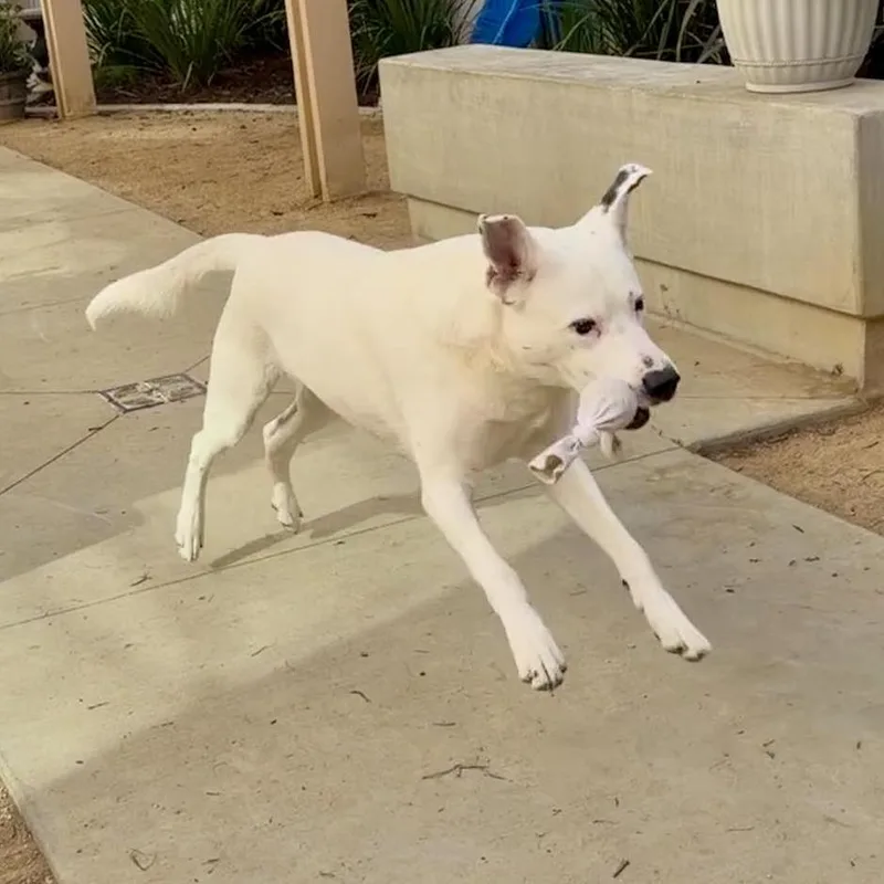 Benjamin thumbnail 2