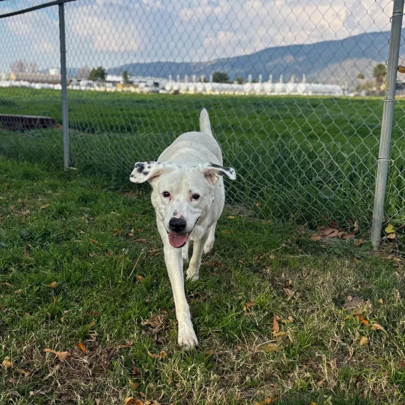 Benjamin thumbnail 3