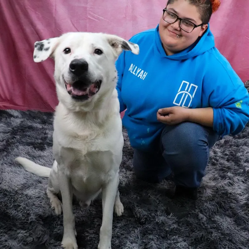 Benjamin thumbnail 4