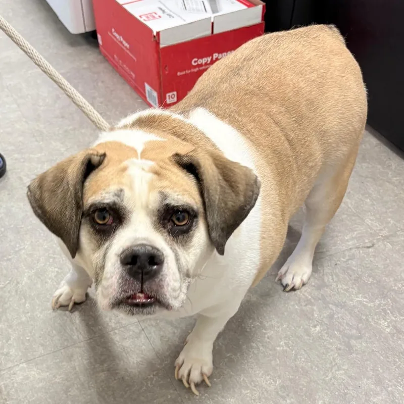 Pretty thumbnail 2