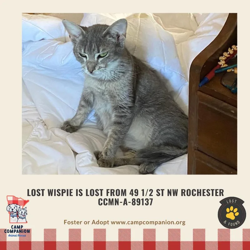 Wispie Is Lost thumbnail 2