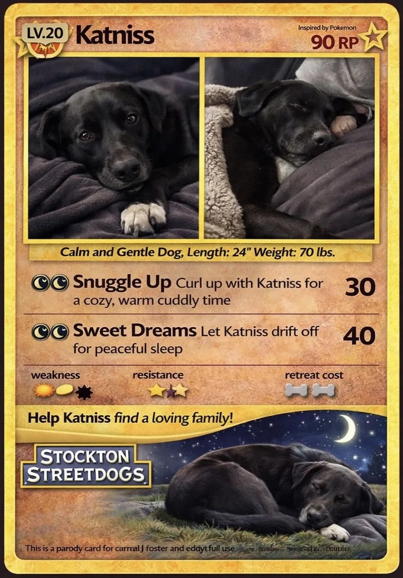 Katniss Everdeen thumbnail 4