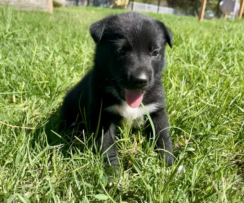 Katniss Everdeen thumbnail 5