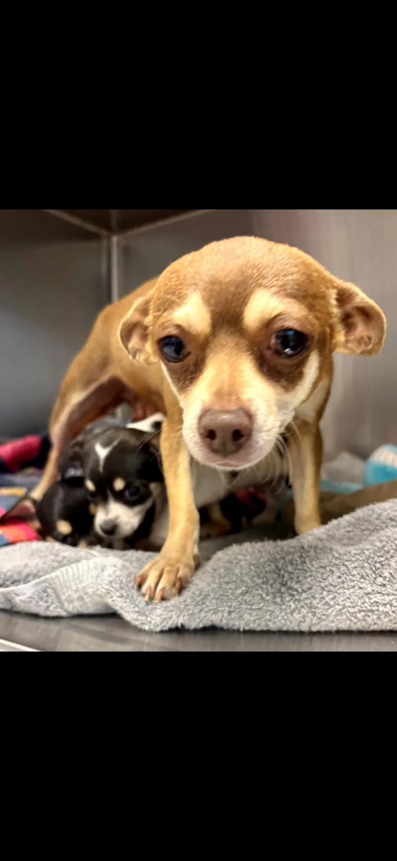 Sally Ride thumbnail 2