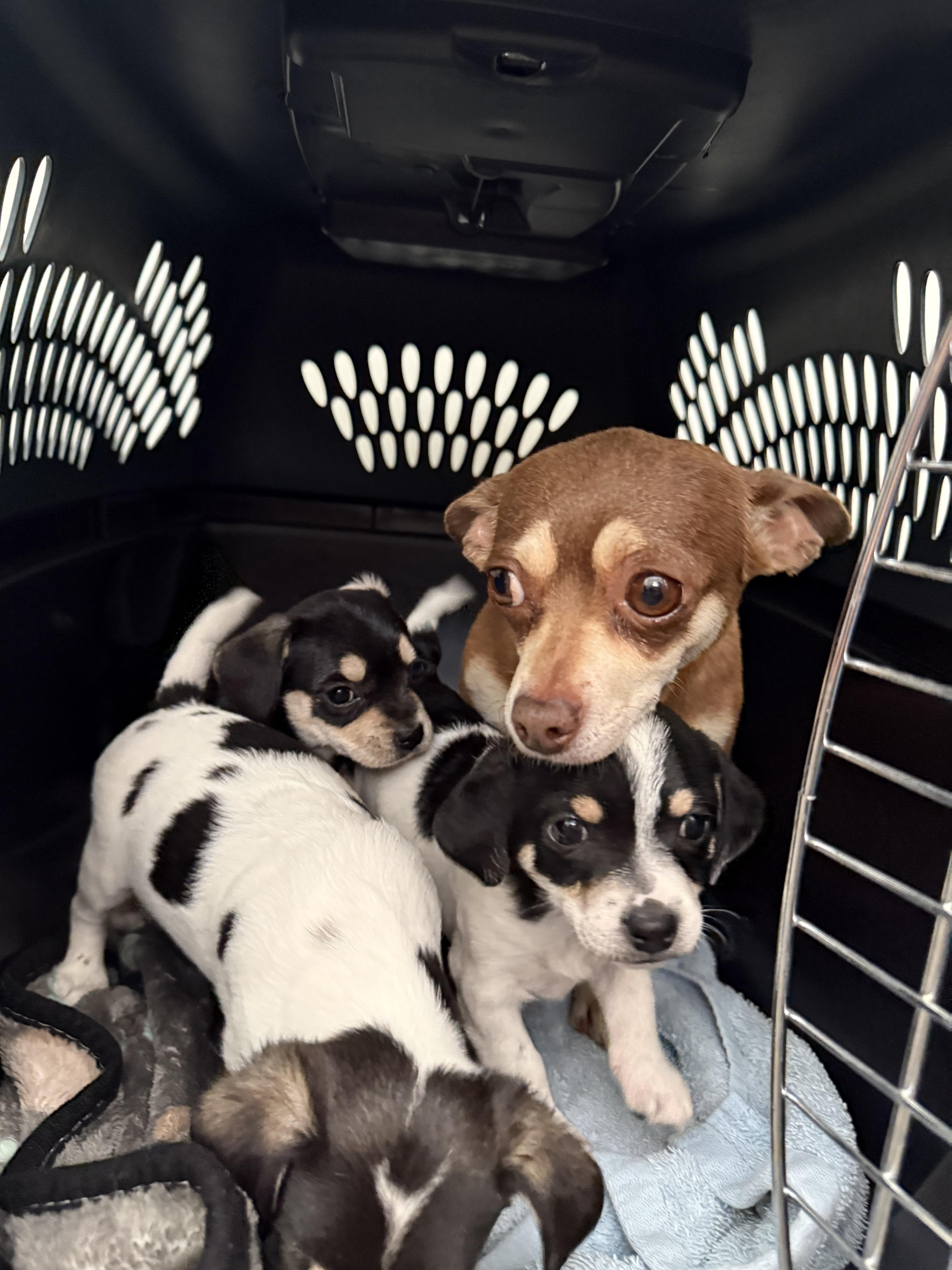 Sally Ride thumbnail 3