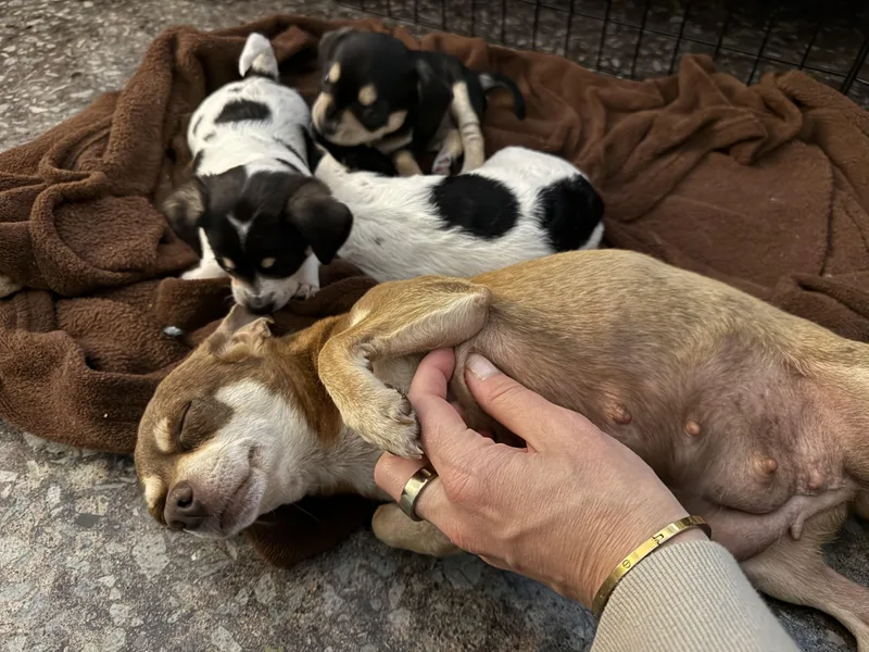 Sally Ride thumbnail 4