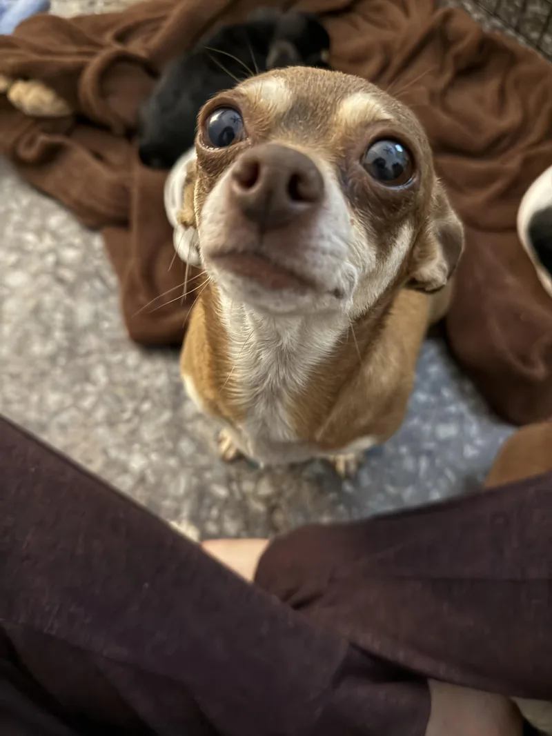 Sally Ride thumbnail 5