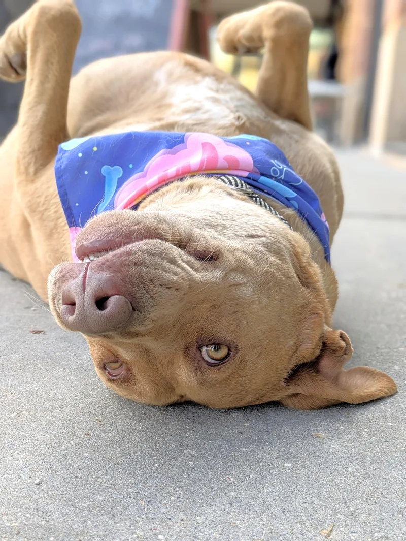 Daisy & Duke thumbnail 2