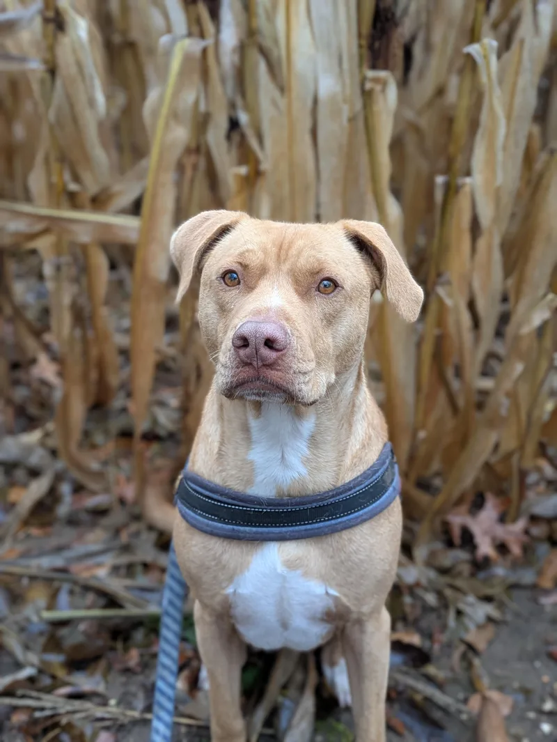 Daisy & Duke thumbnail 6