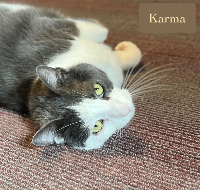 Karma thumbnail 6