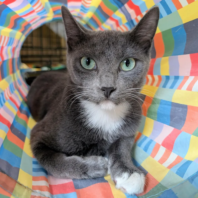 Ru @ Fat Cat thumbnail 2