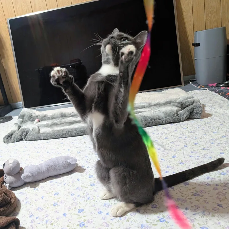 Ru @ Fat Cat thumbnail 4