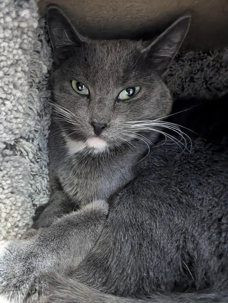 Ru @ Fat Cat thumbnail 6